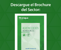 brochure-agro