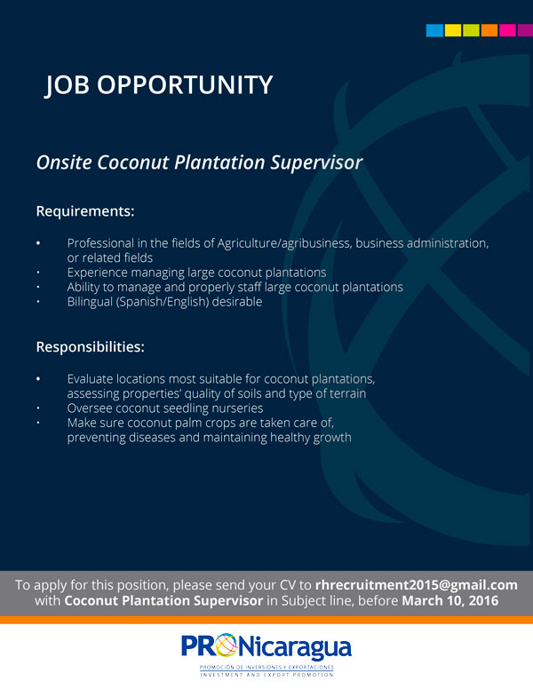 Coconut-Plantation-Supervisor-02